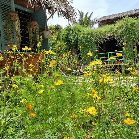 Bach Cuc Homestay Long Hai Kültér fotó