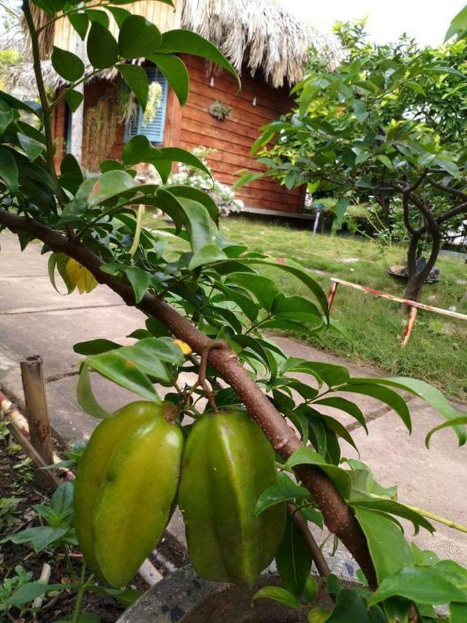 Bach Cuc Homestay Long Hai Kültér fotó